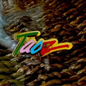 🦋Vintage TAOS Valley New Mexico Ski Resort Souvenir Travel Lapel Pin🦋